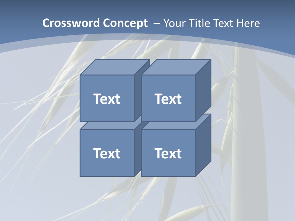 Oat Plant With Panicles PowerPoint Template
