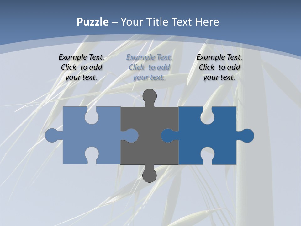 Oat Plant With Panicles PowerPoint Template