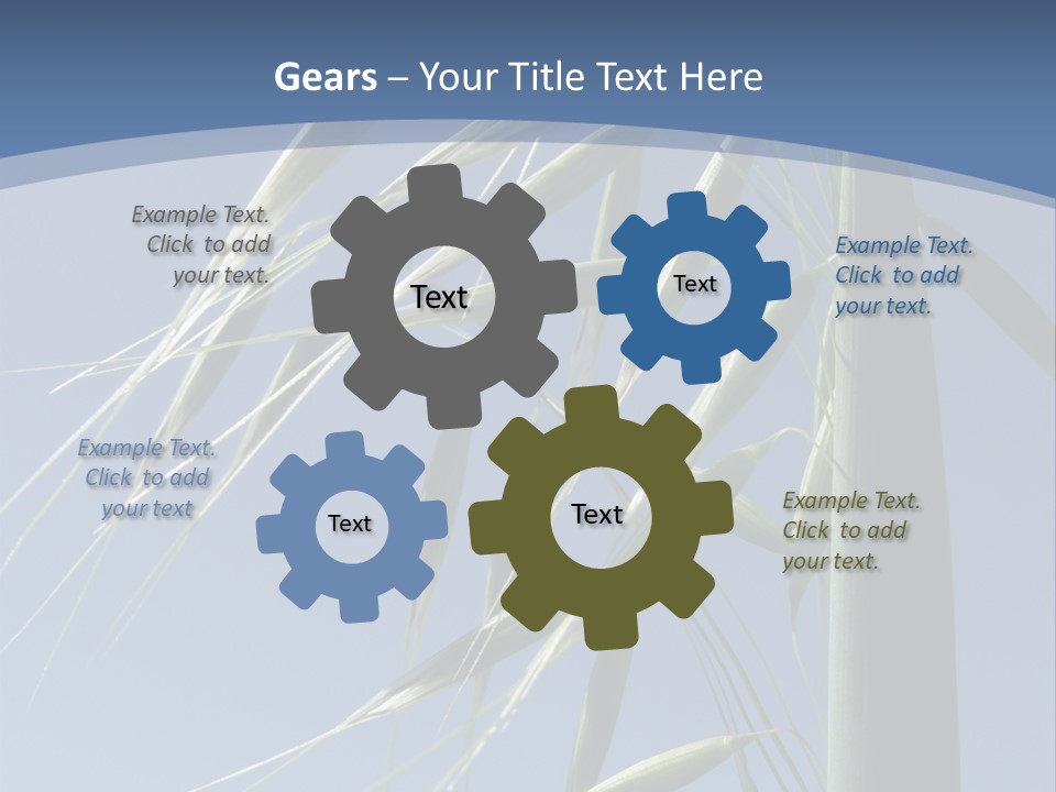 Oat Plant With Panicles PowerPoint Template