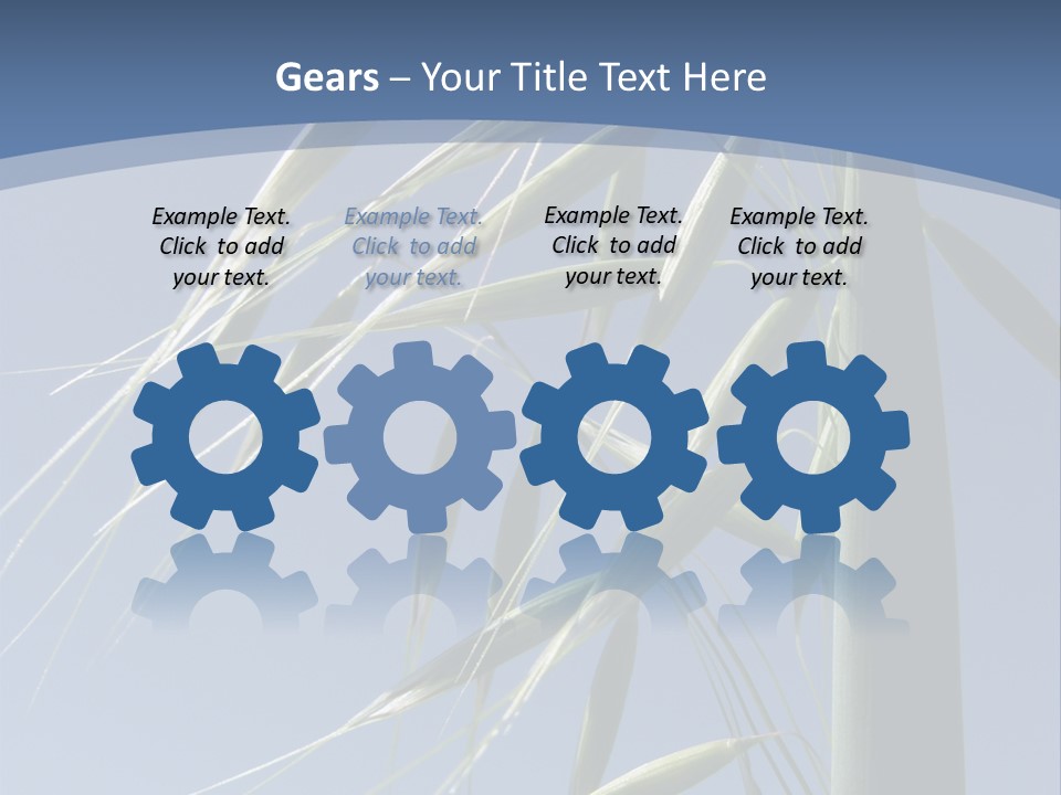 Oat Plant With Panicles PowerPoint Template