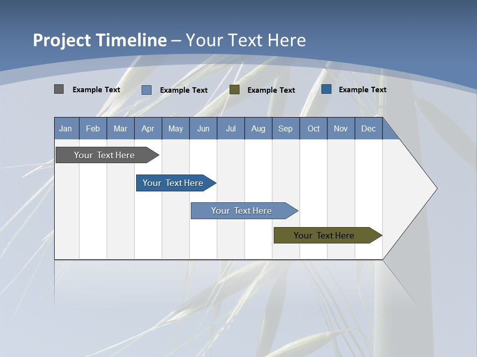 Oat Plant With Panicles PowerPoint Template