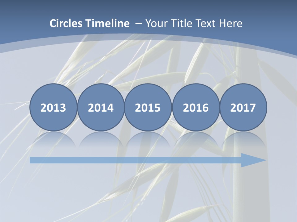 Oat Plant With Panicles PowerPoint Template