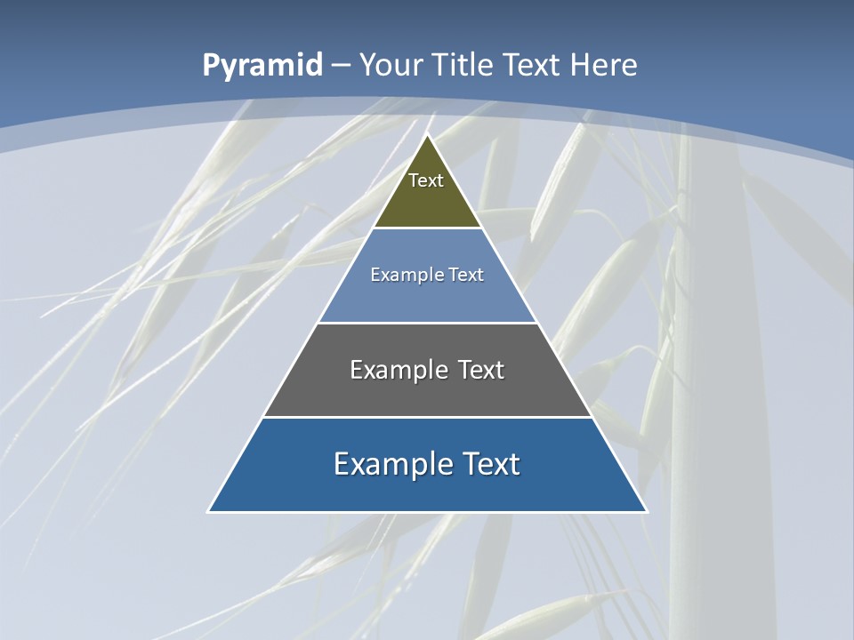 Oat Plant With Panicles PowerPoint Template