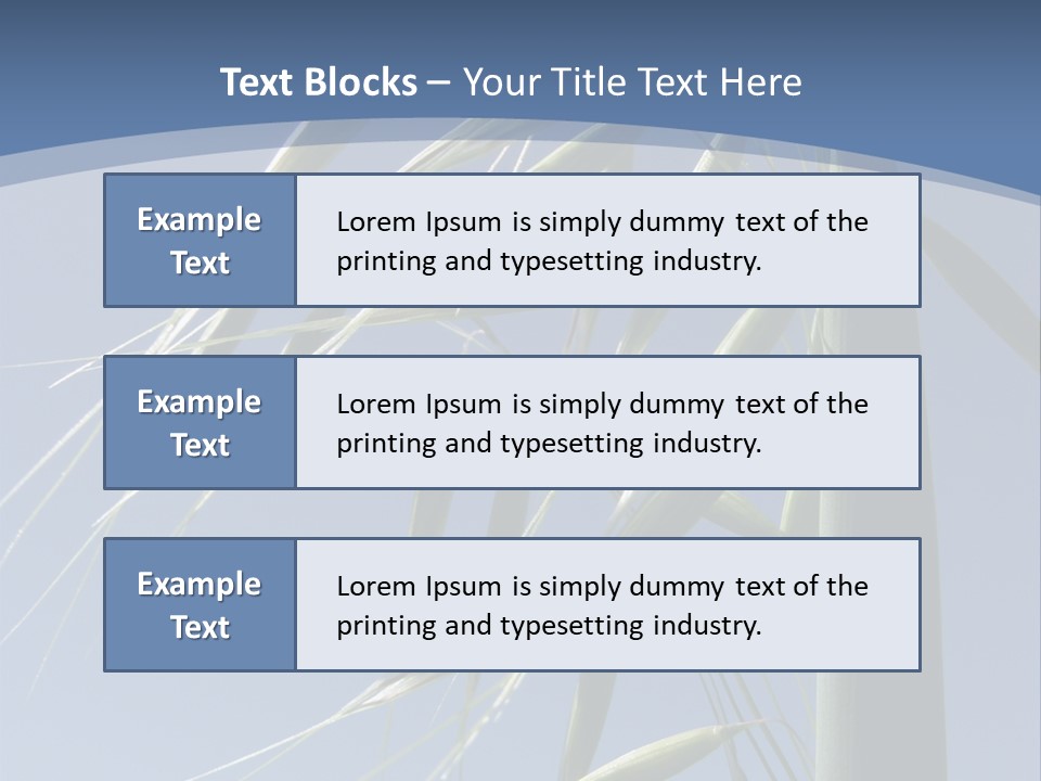 Oat Plant With Panicles PowerPoint Template