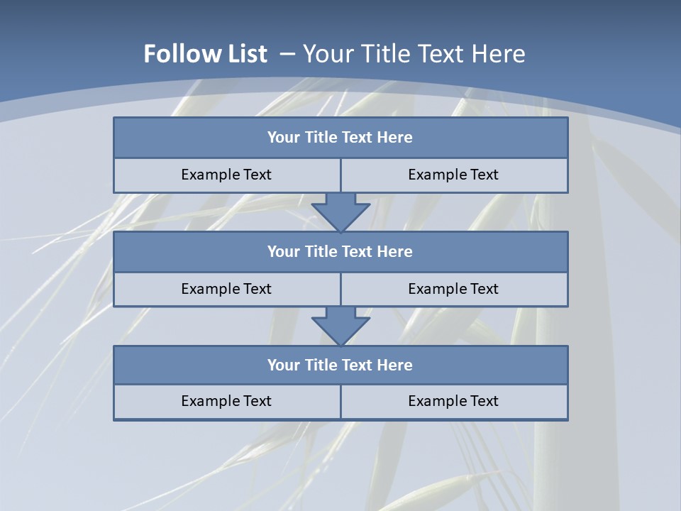 Oat Plant With Panicles PowerPoint Template