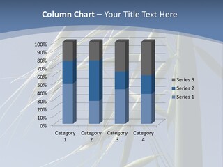 Oat Plant With Panicles PowerPoint Template