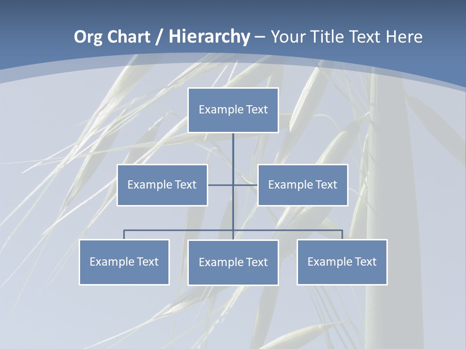 Oat Plant With Panicles PowerPoint Template