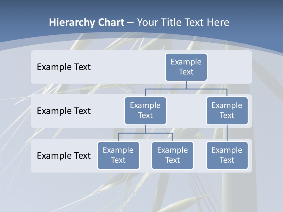 Oat Plant With Panicles PowerPoint Template