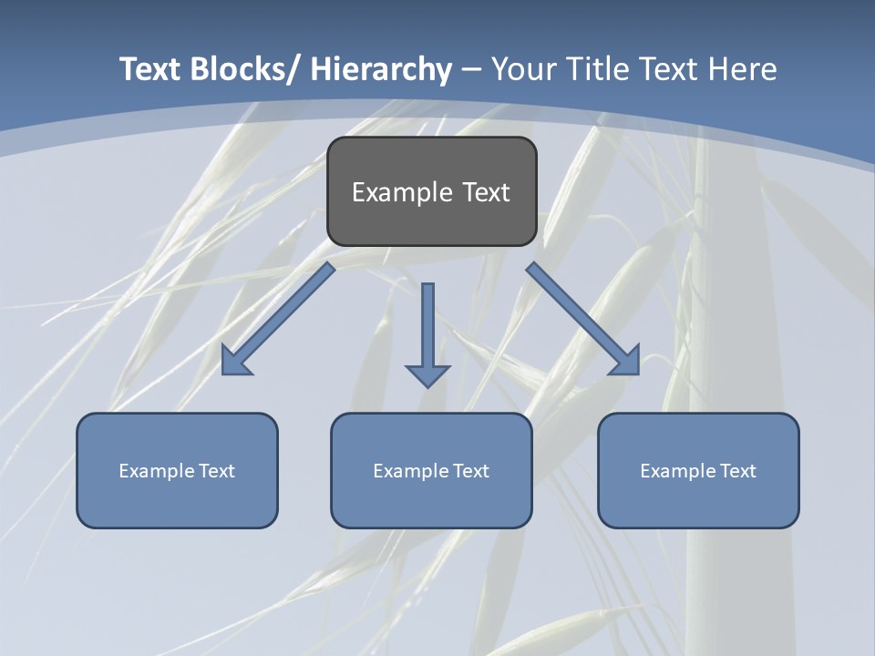 Oat Plant With Panicles PowerPoint Template