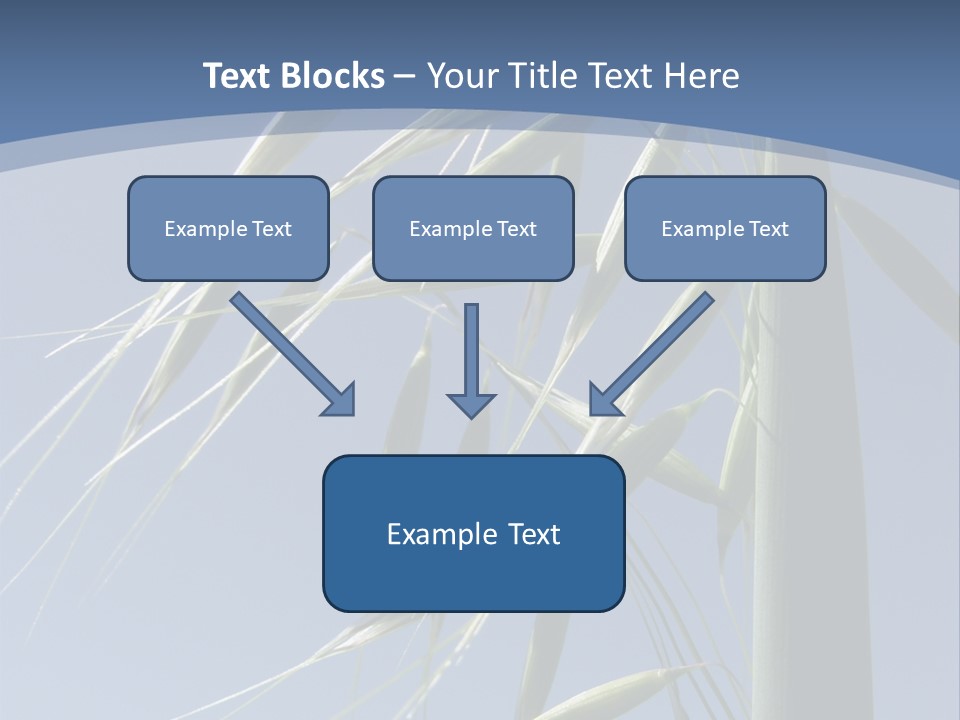 Oat Plant With Panicles PowerPoint Template