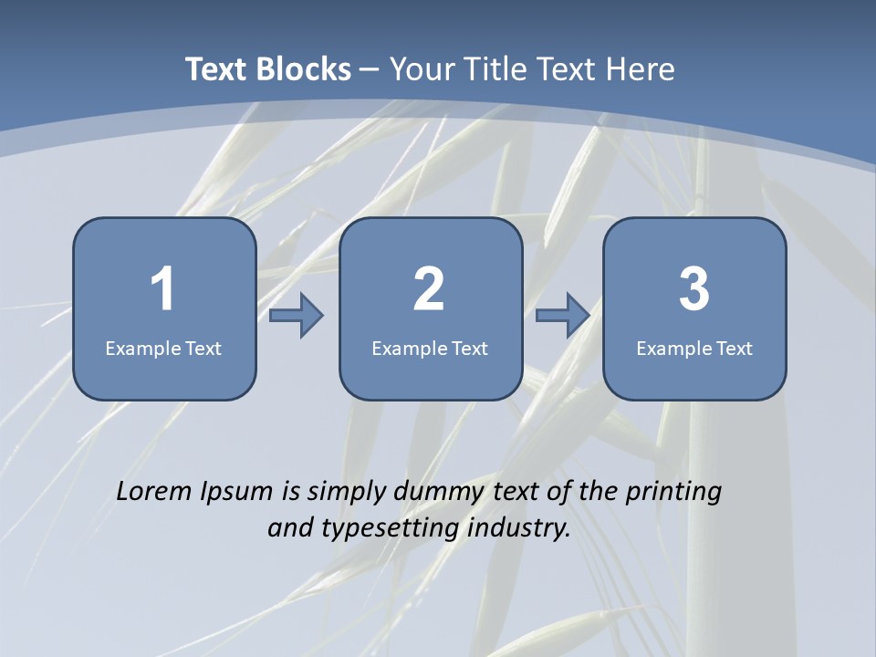 Oat Plant With Panicles PowerPoint Template