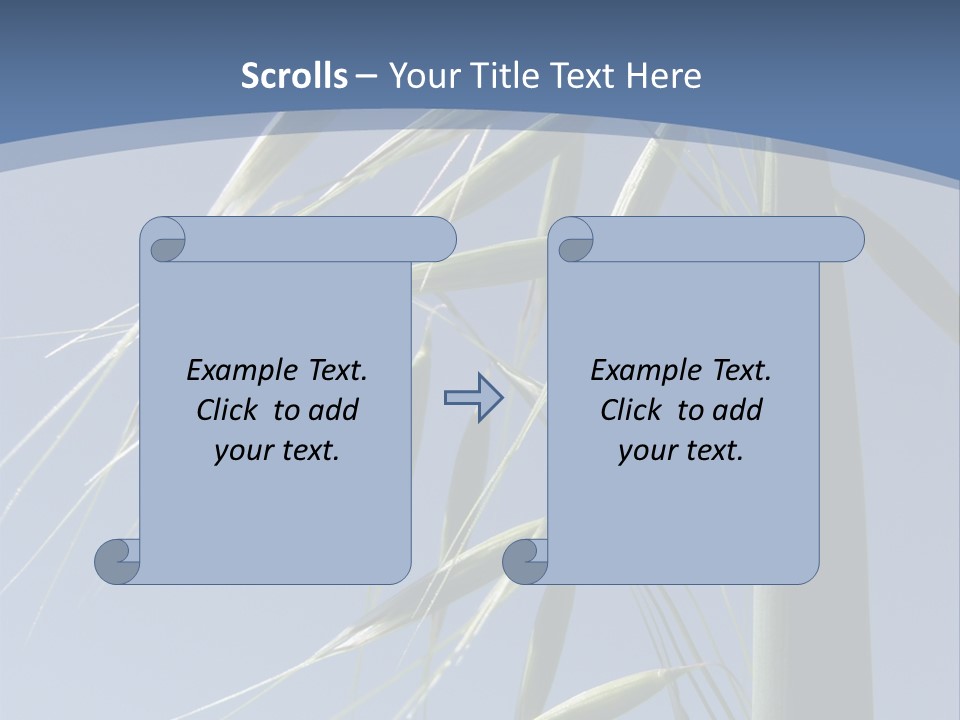 Oat Plant With Panicles PowerPoint Template