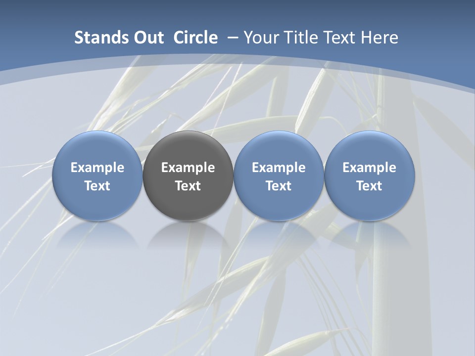 Oat Plant With Panicles PowerPoint Template