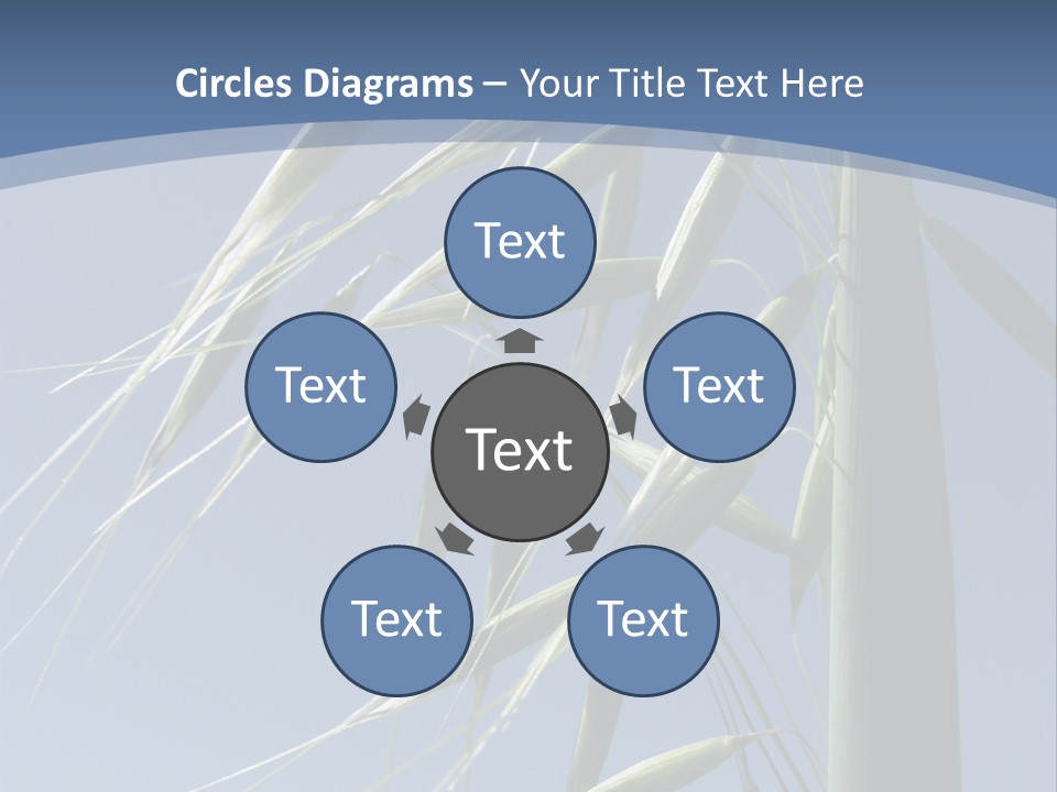 Oat Plant With Panicles PowerPoint Template