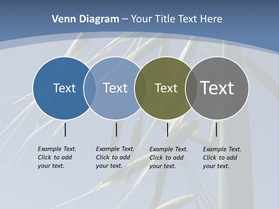 Oat Plant With Panicles PowerPoint Template