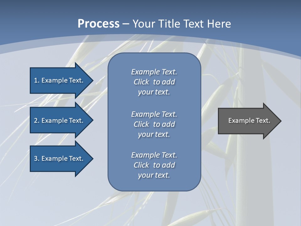 Oat Plant With Panicles PowerPoint Template