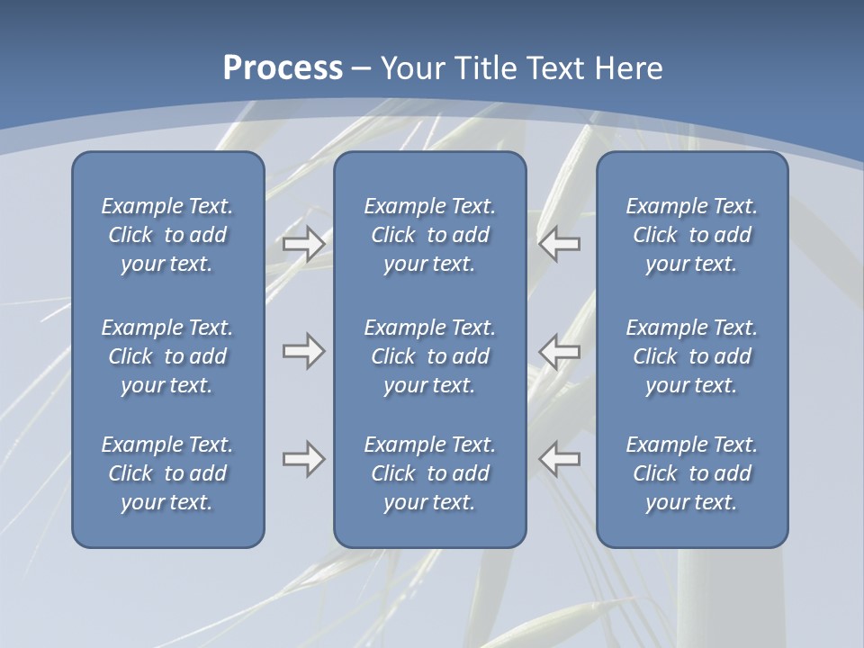 Oat Plant With Panicles PowerPoint Template