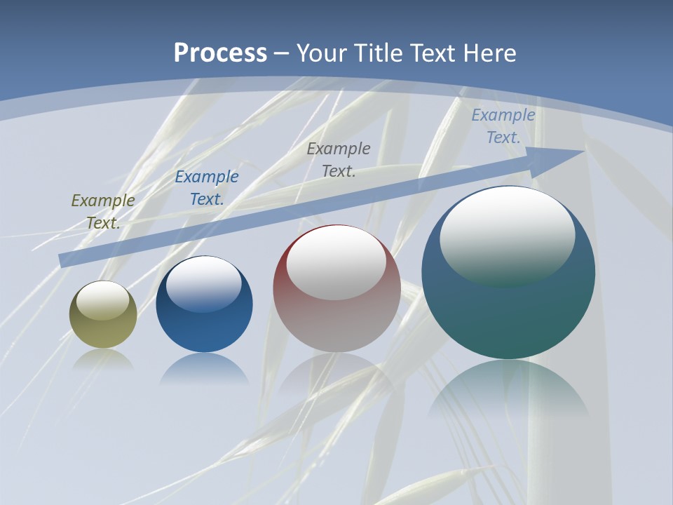 Oat Plant With Panicles PowerPoint Template