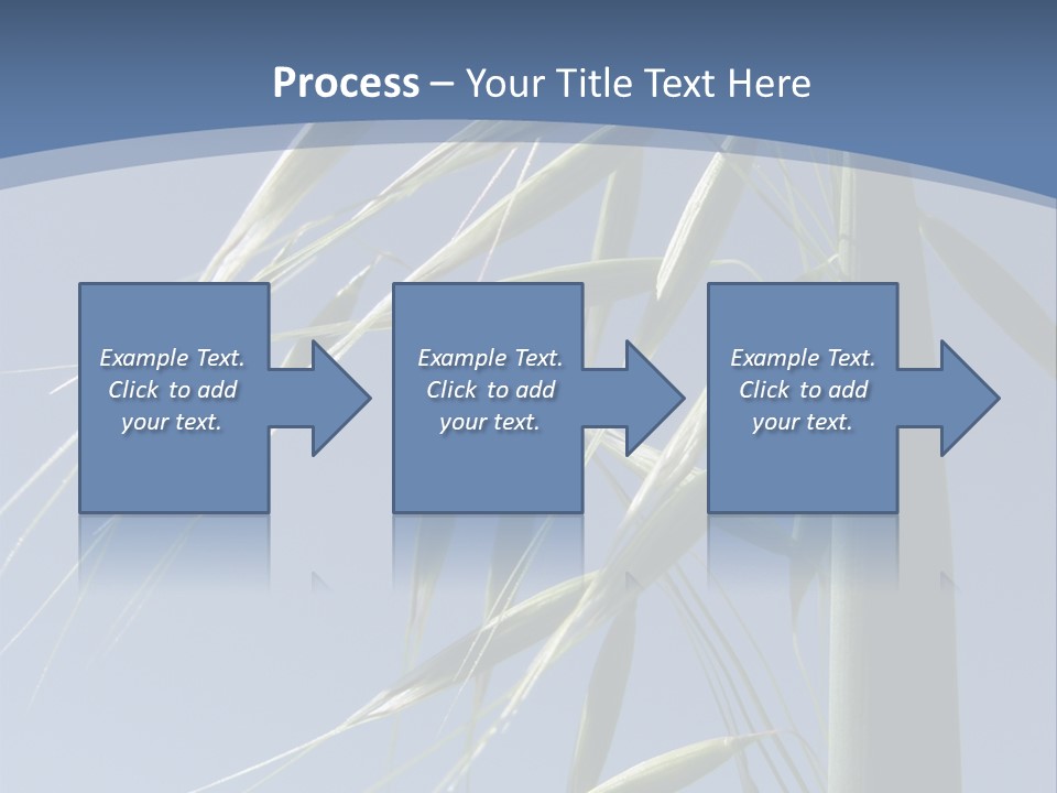 Oat Plant With Panicles PowerPoint Template