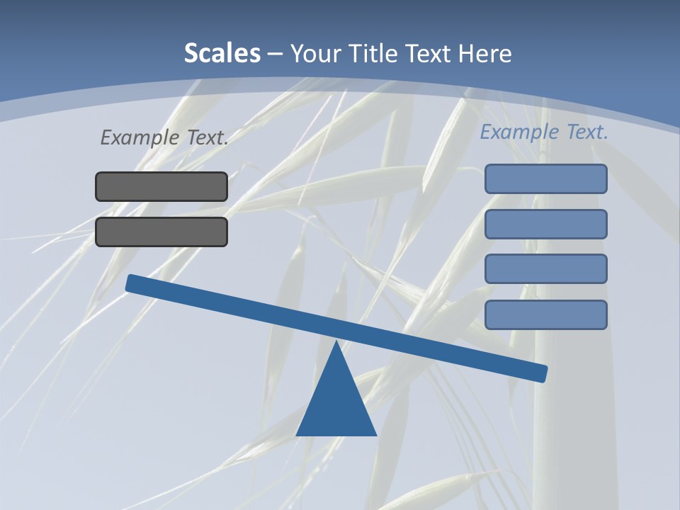 Oat Plant With Panicles PowerPoint Template