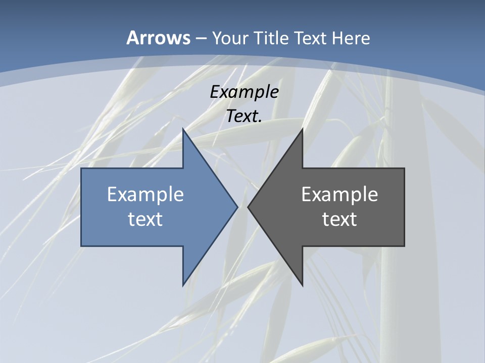 Oat Plant With Panicles PowerPoint Template