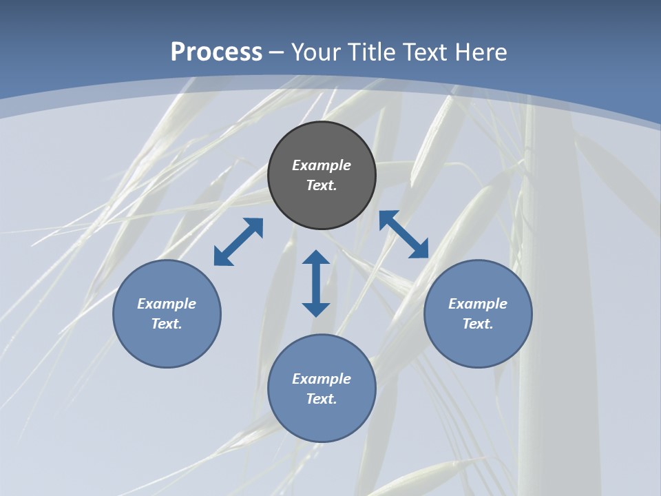 Oat Plant With Panicles PowerPoint Template