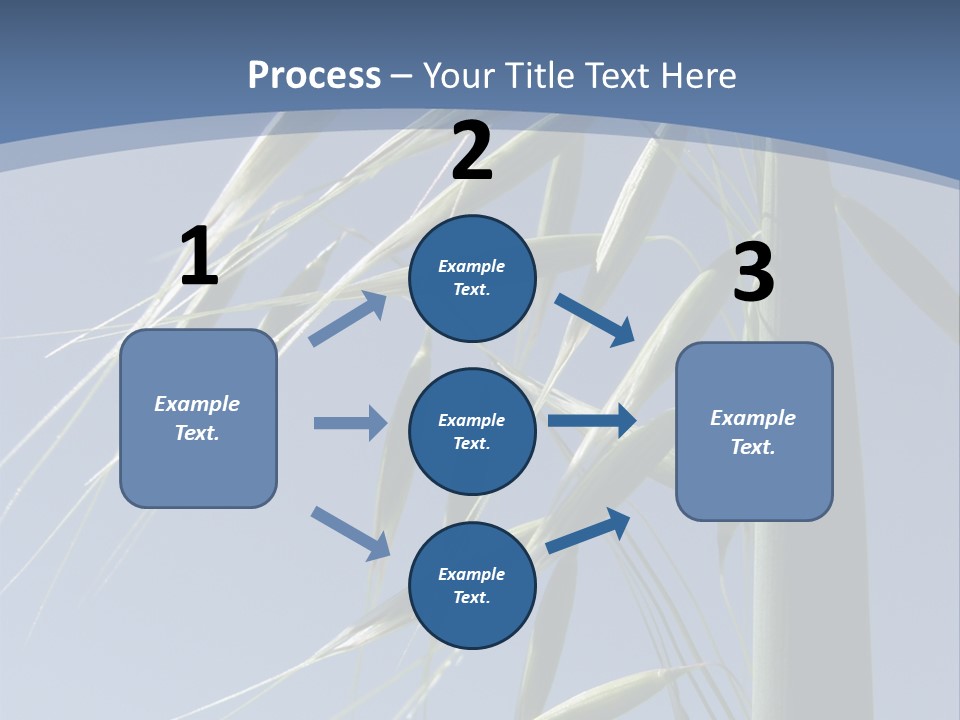 Oat Plant With Panicles PowerPoint Template