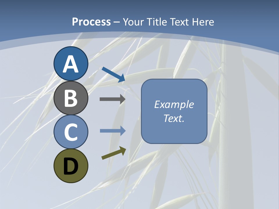 Oat Plant With Panicles PowerPoint Template