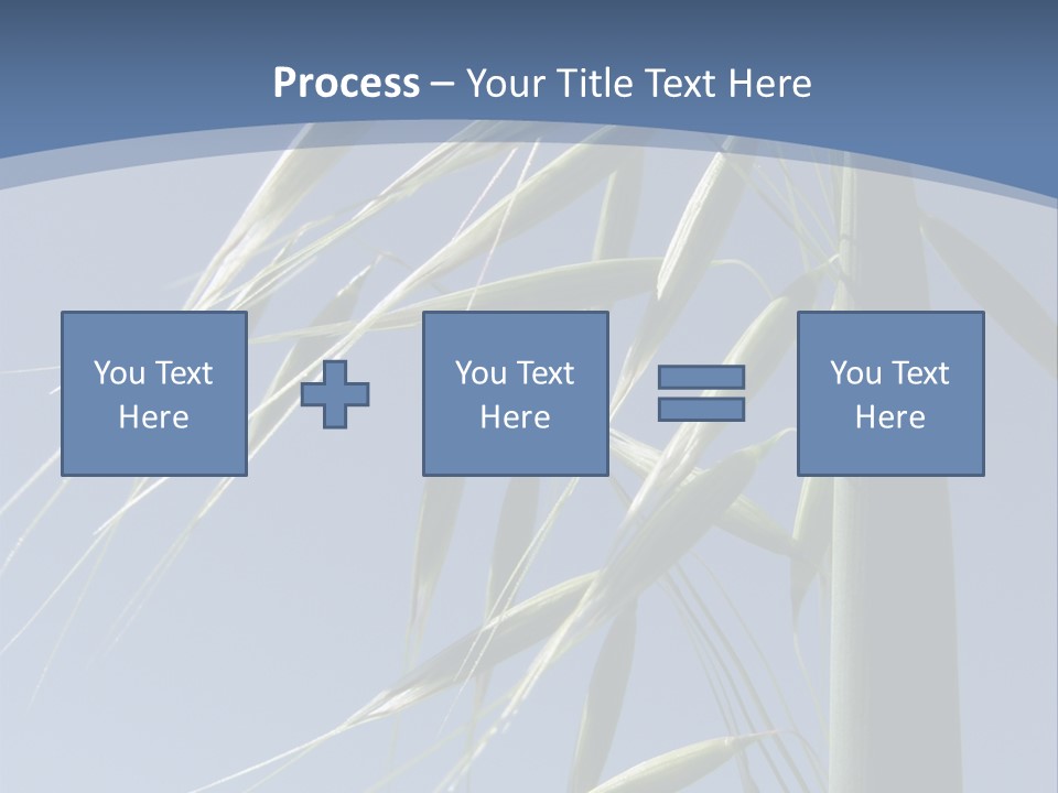 Oat Plant With Panicles PowerPoint Template