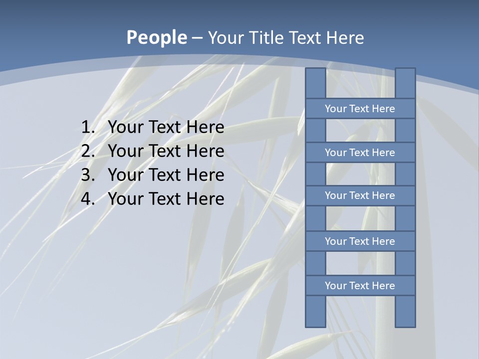 Oat Plant With Panicles PowerPoint Template