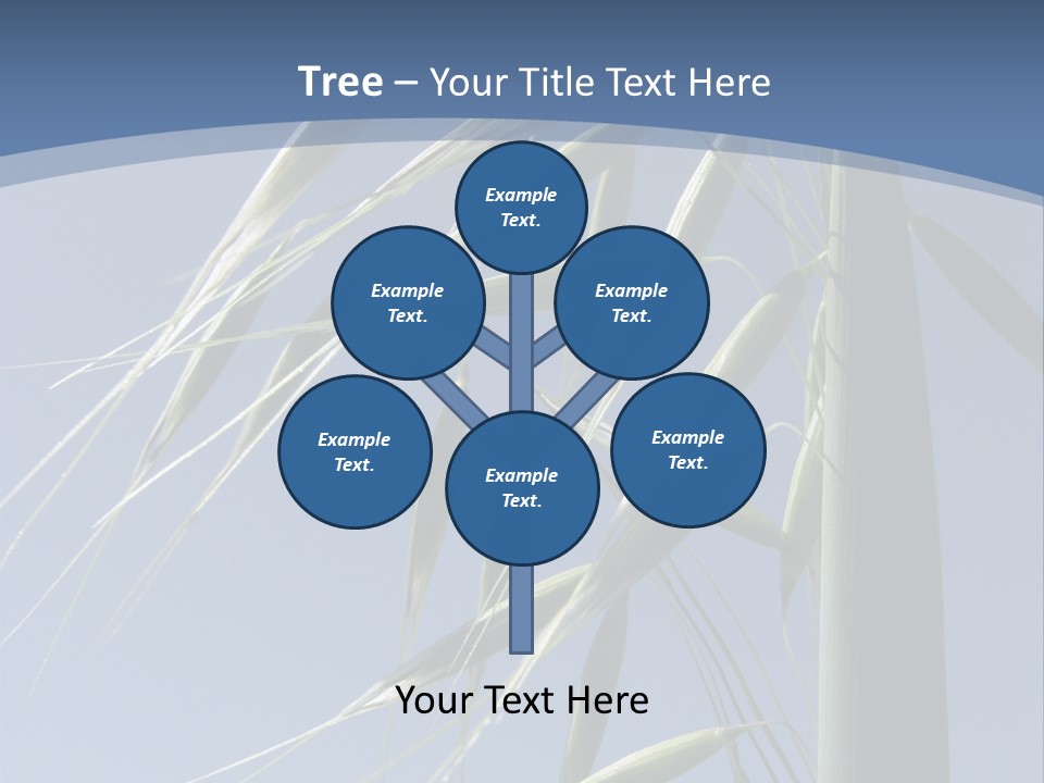 Oat Plant With Panicles PowerPoint Template