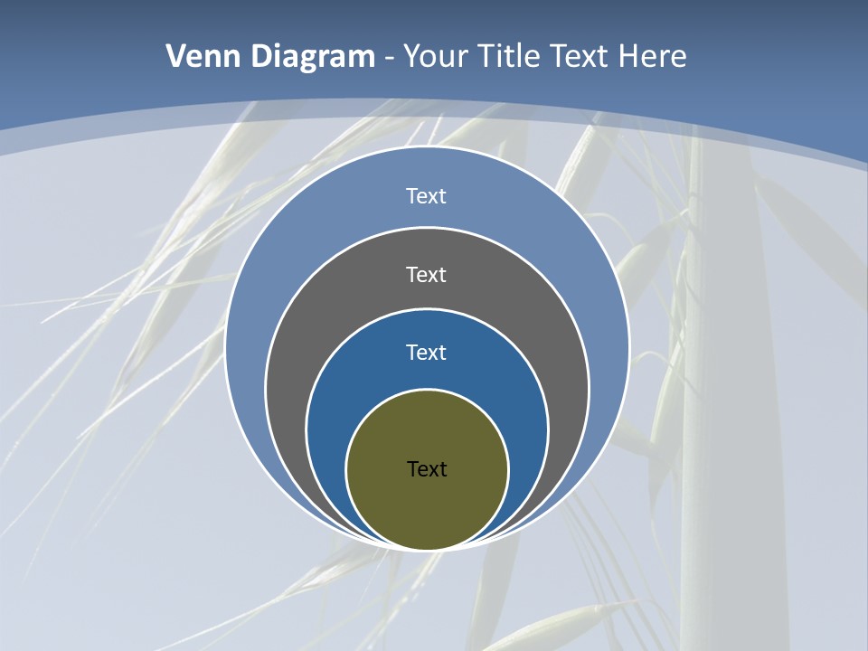 Oat Plant With Panicles PowerPoint Template