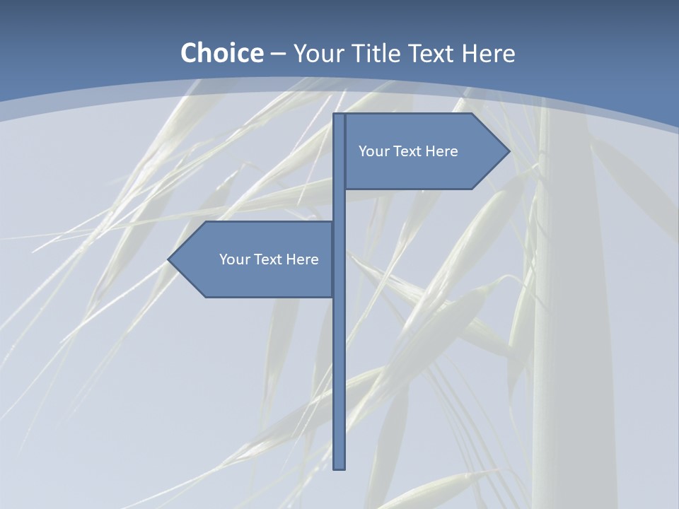 Oat Plant With Panicles PowerPoint Template