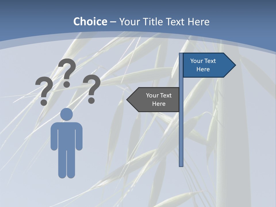 Oat Plant With Panicles PowerPoint Template