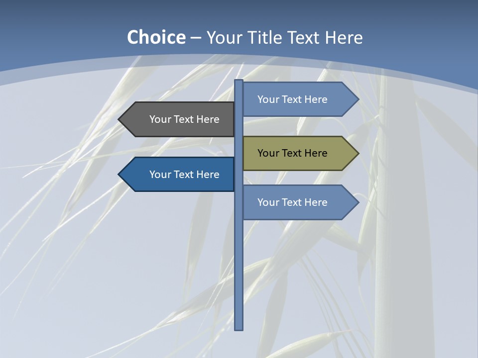 Oat Plant With Panicles PowerPoint Template