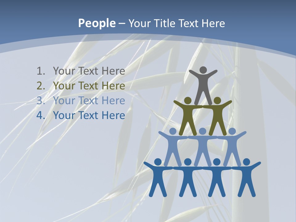 Oat Plant With Panicles PowerPoint Template