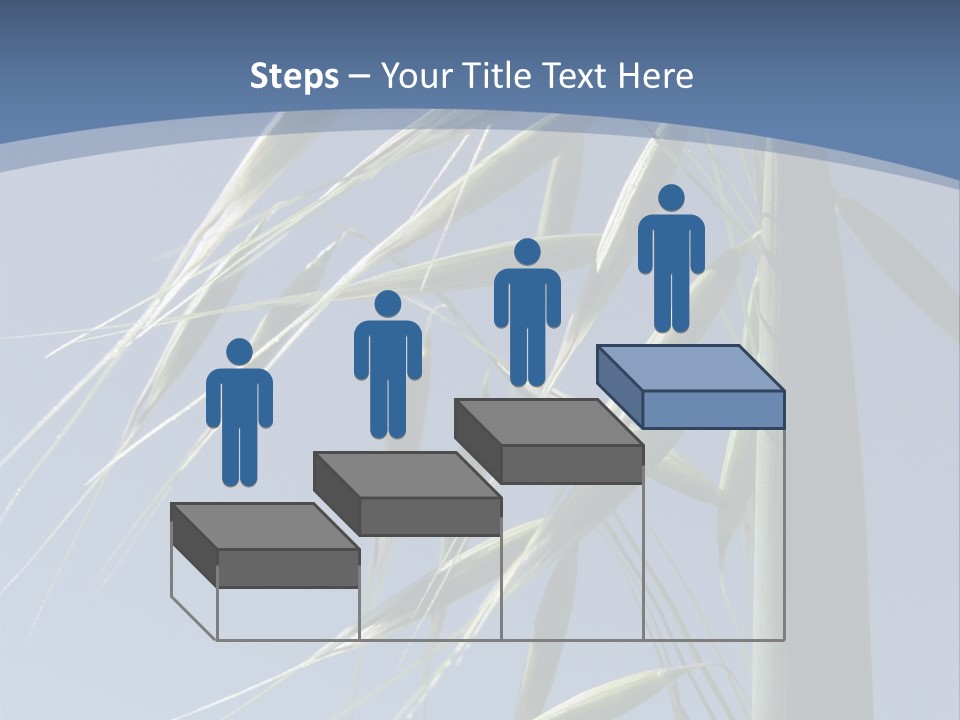 Oat Plant With Panicles PowerPoint Template
