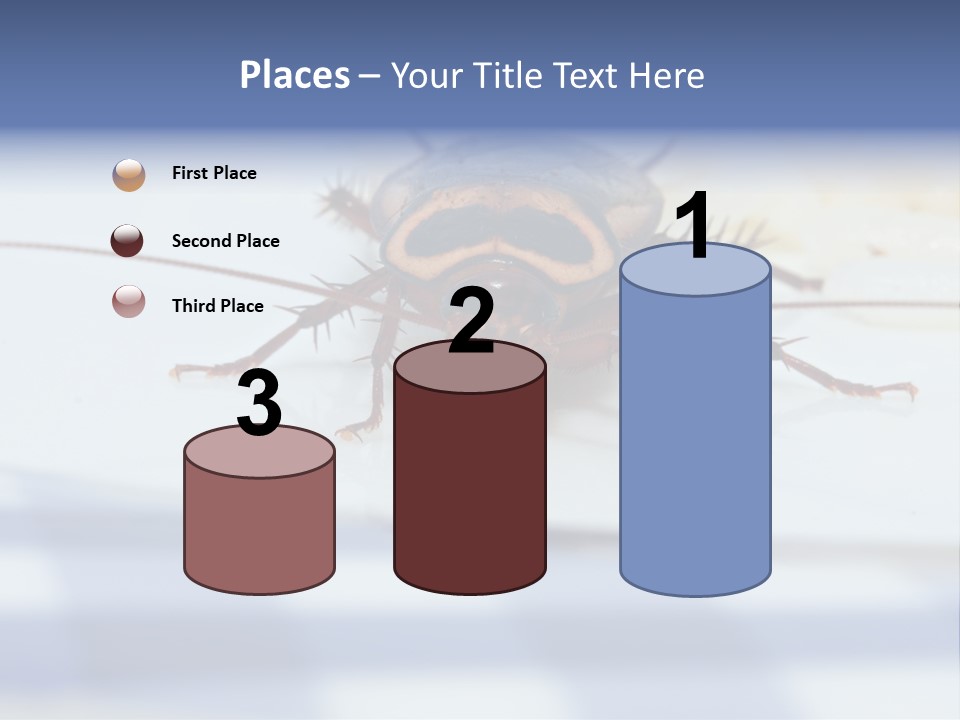 Frontal View Extreme Macro Of Cockroach Feeding On Grain Of Rice PowerPoint Template