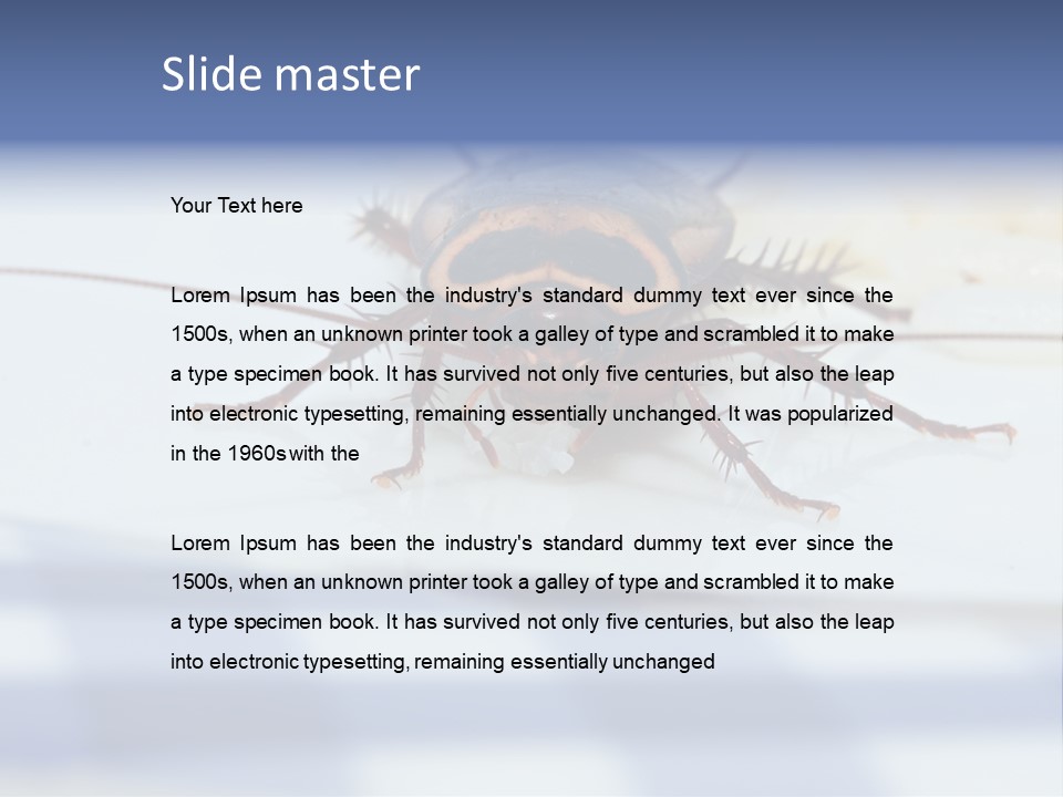 Frontal View Extreme Macro Of Cockroach Feeding On Grain Of Rice PowerPoint Template