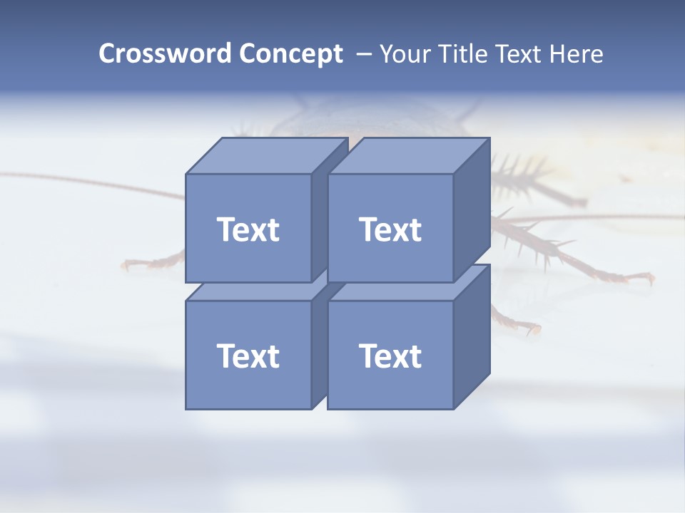 Frontal View Extreme Macro Of Cockroach Feeding On Grain Of Rice PowerPoint Template
