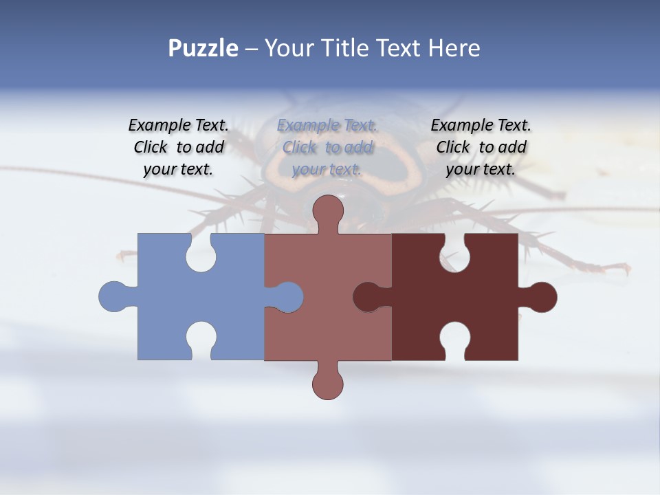 Frontal View Extreme Macro Of Cockroach Feeding On Grain Of Rice PowerPoint Template