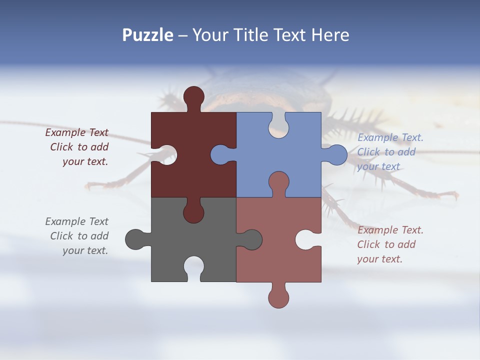 Frontal View Extreme Macro Of Cockroach Feeding On Grain Of Rice PowerPoint Template