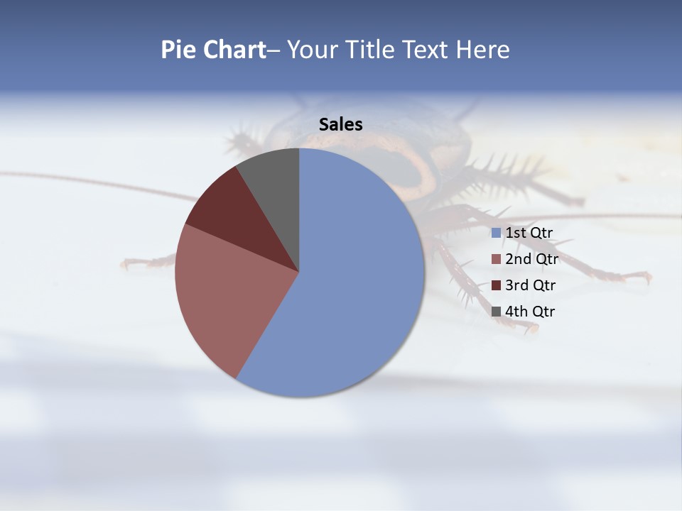 Frontal View Extreme Macro Of Cockroach Feeding On Grain Of Rice PowerPoint Template