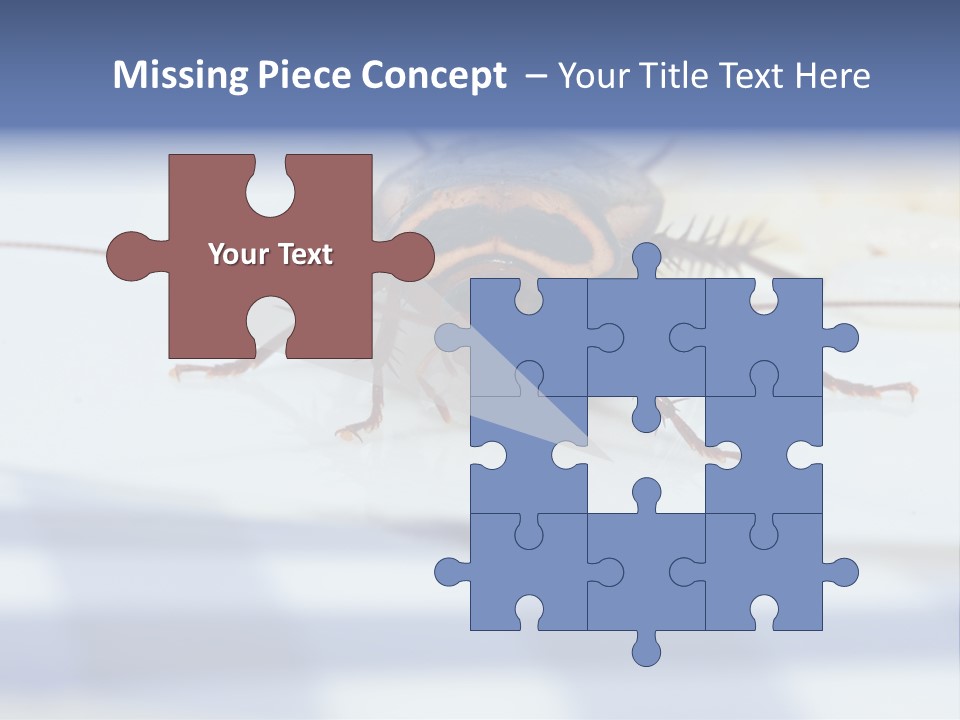 Frontal View Extreme Macro Of Cockroach Feeding On Grain Of Rice PowerPoint Template