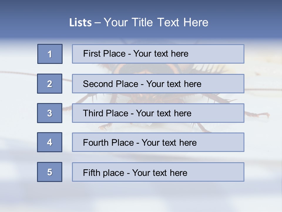 Frontal View Extreme Macro Of Cockroach Feeding On Grain Of Rice PowerPoint Template