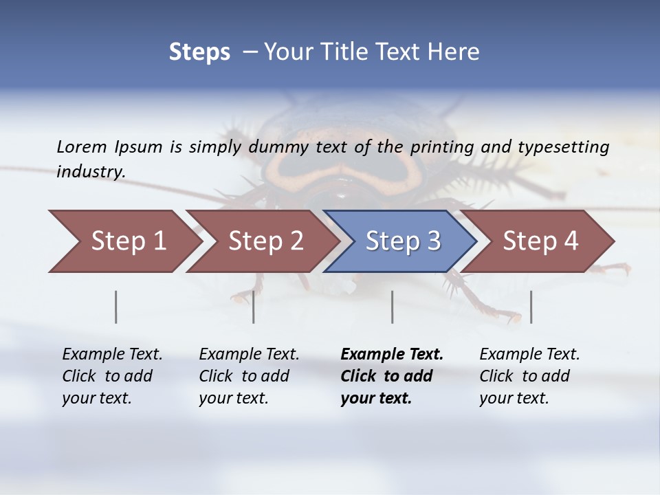 Frontal View Extreme Macro Of Cockroach Feeding On Grain Of Rice PowerPoint Template