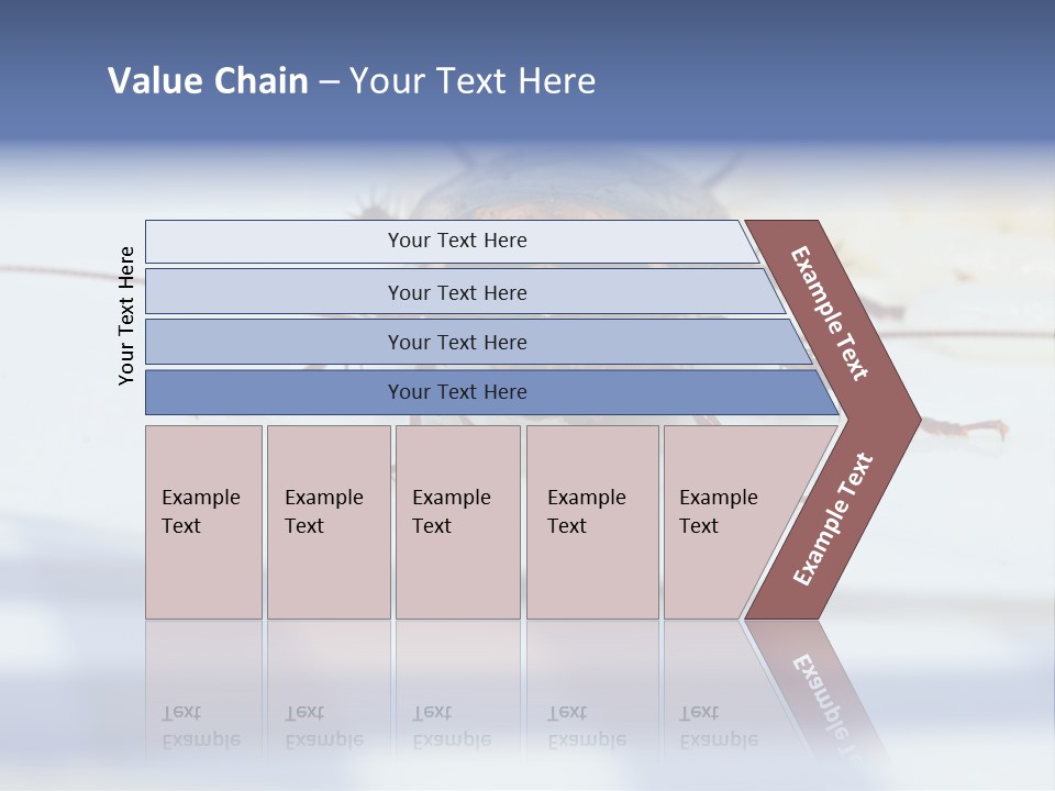 Frontal View Extreme Macro Of Cockroach Feeding On Grain Of Rice PowerPoint Template