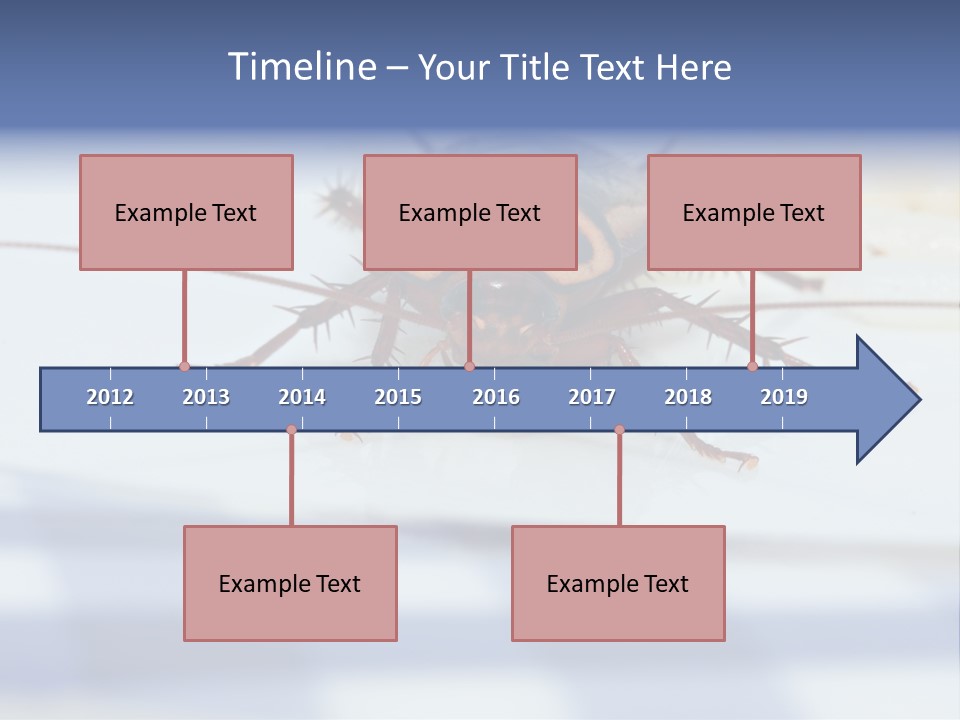 Frontal View Extreme Macro Of Cockroach Feeding On Grain Of Rice PowerPoint Template