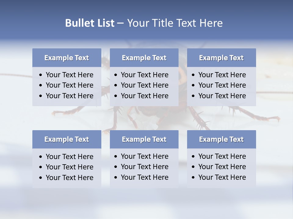 Frontal View Extreme Macro Of Cockroach Feeding On Grain Of Rice PowerPoint Template