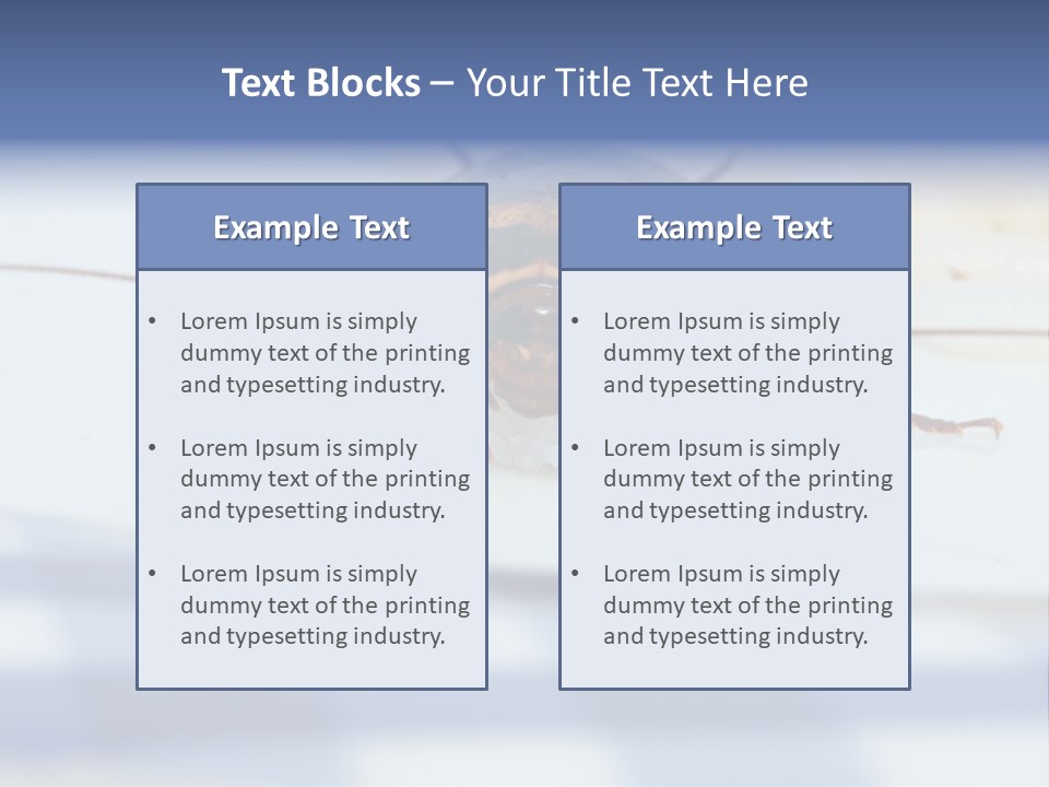 Frontal View Extreme Macro Of Cockroach Feeding On Grain Of Rice PowerPoint Template